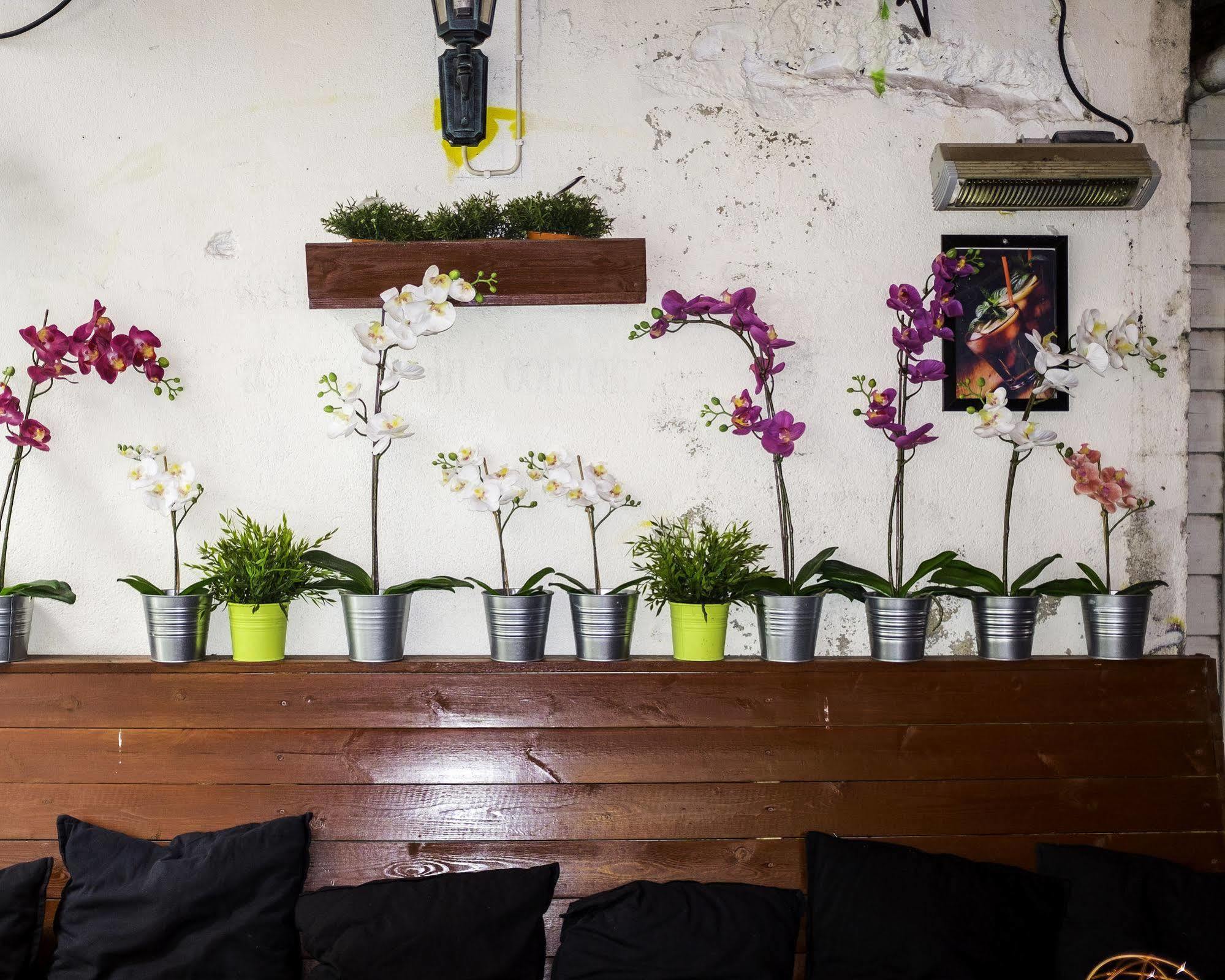 Skansen Hostel Στάβανγκερ Εξωτερικό φωτογραφία